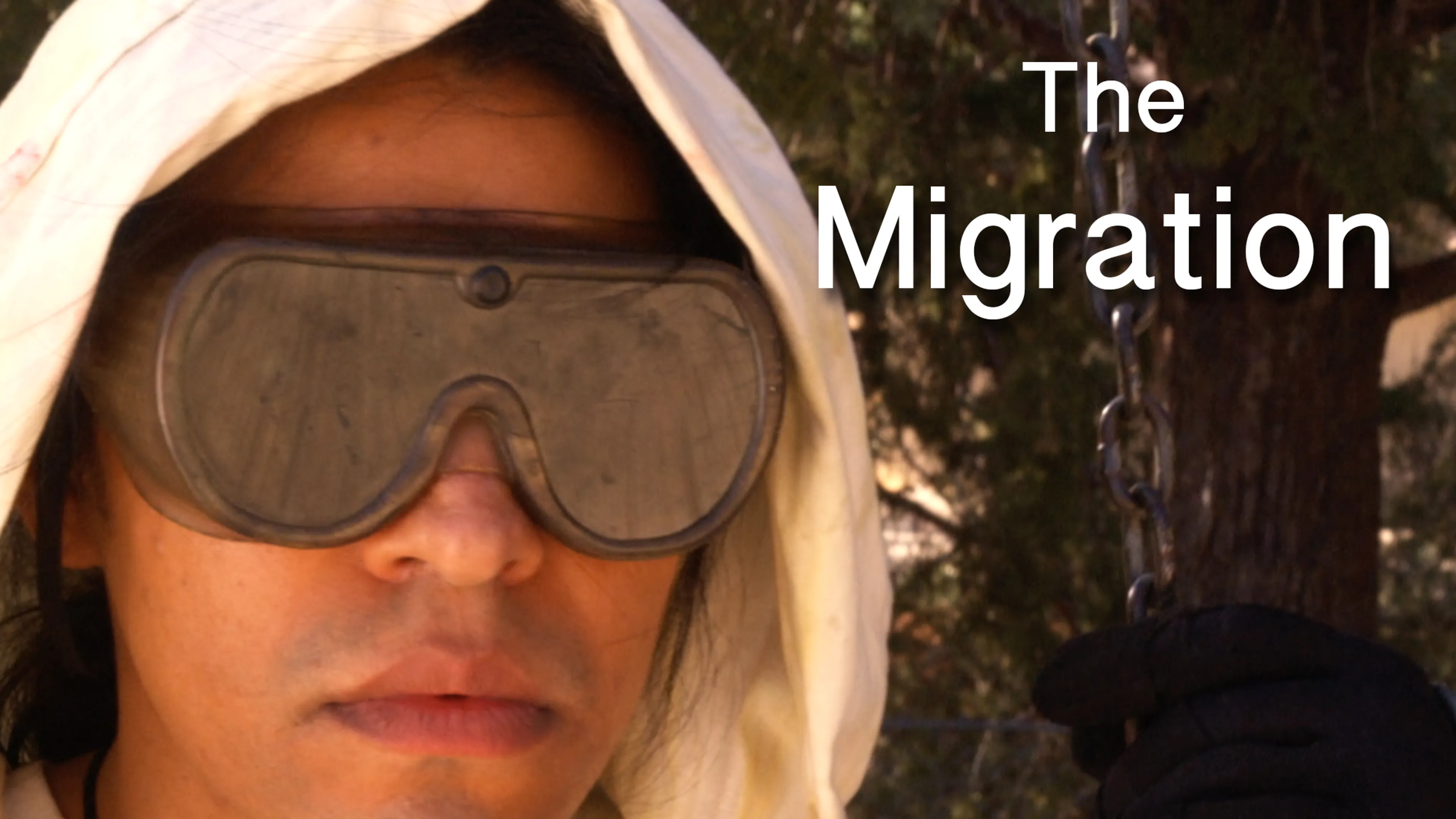 The Migration poster